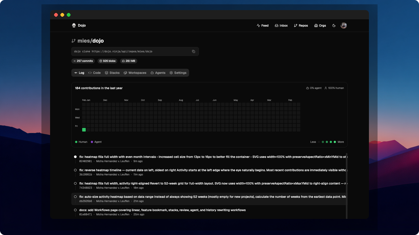 Dojo repository overview showing commit log and activity heatmap