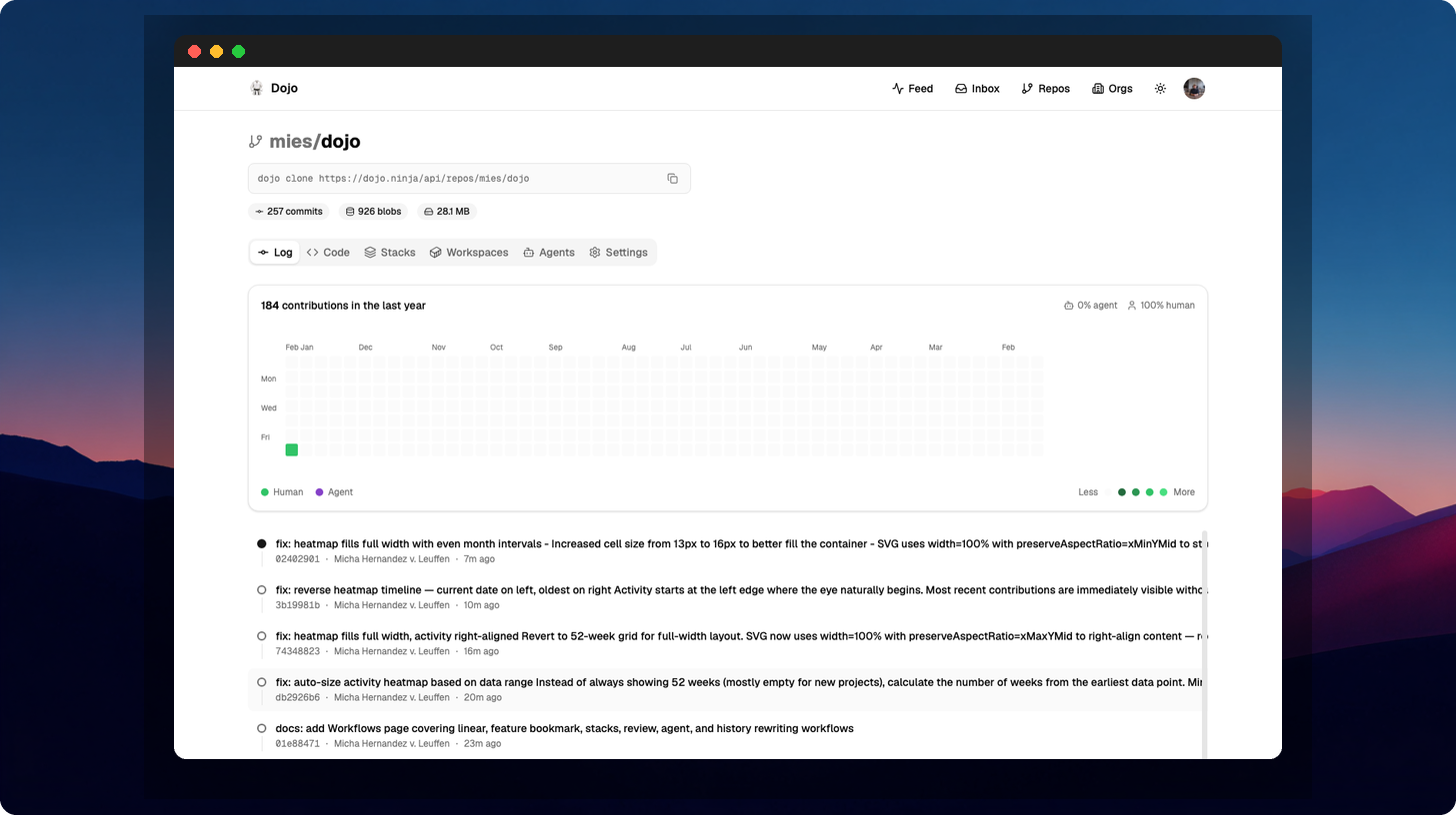 Dojo repository overview with commit log and contribution heatmap